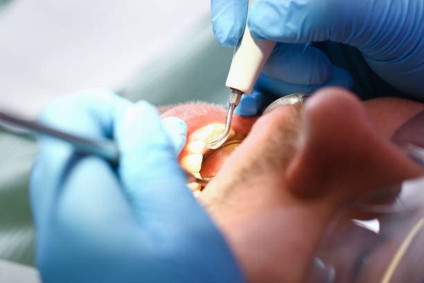 Best Emergency Dentist for Special Needs Patients in Chestnut Ridge, NY